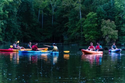 kayak tour