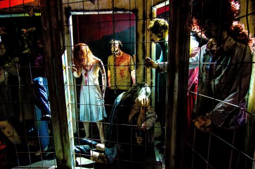 Haunted House Scarowinds