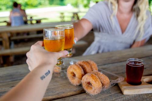 Two people cheersing small glasses of cider together with a half a dozen donuts in a container in between them on the wooden table