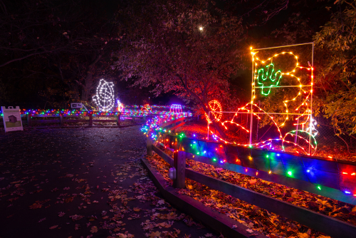 Holiday Lights at the RWP Zoo