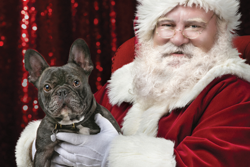 Santa with a dog on his lap
