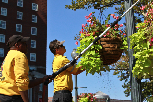Crew Planting Flowers in Downtown Providence, RI