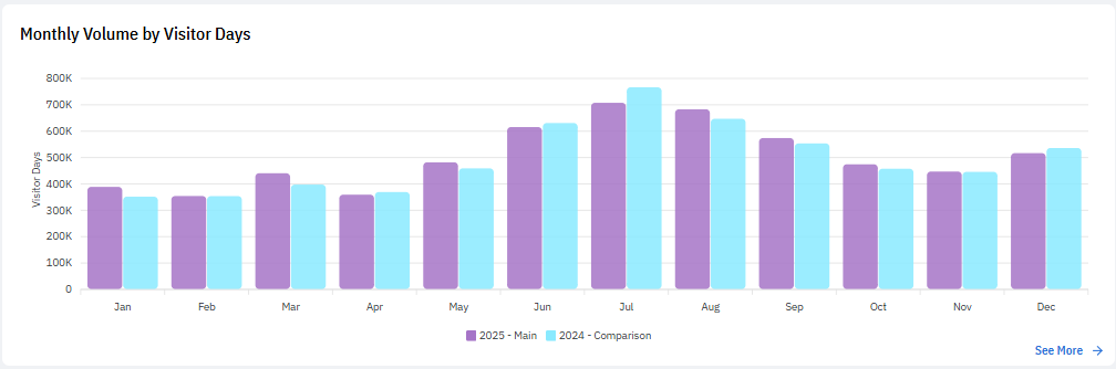 2025 Monthly Volume by Visitor Days