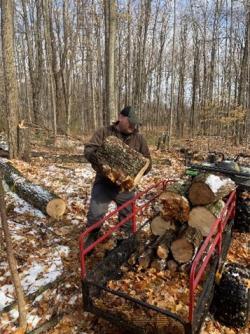 Sugar Farming Forest Management