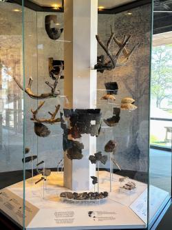 Influencer - Robin LaMonte - Archeology dig site in Historic Jamestowne
