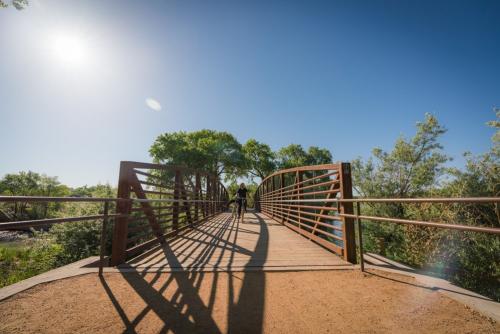 An individual cycling over the Paseo de Bosque Bridge.