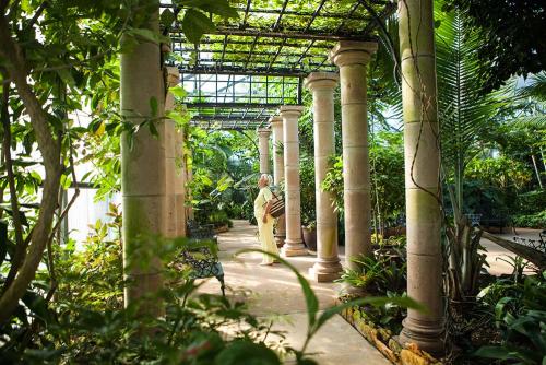 Beaumont Botanical Gardens canopy