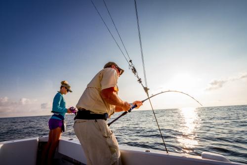 fishing sailboat