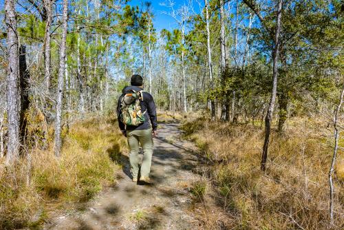 Hiking Pirate's Alley Nature Trail at Buccaneer State Park