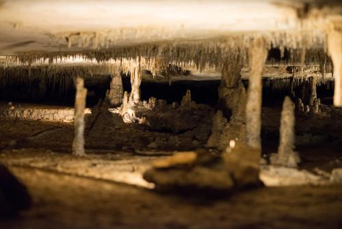 Marengo Cave stalectites and stalagmites