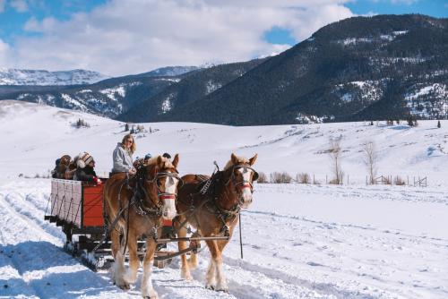 Elk Refuge Sleigh Ride