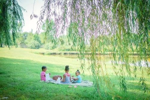 Family Fall Blog 5