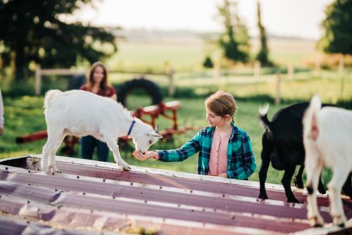 Udderly kid experience