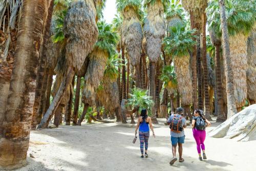 Group walking in the Indian Canyons