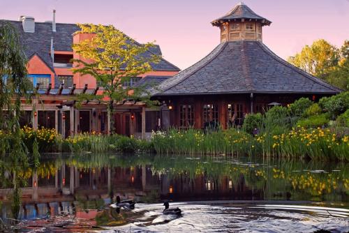 a view of rats restaurant from across a pond