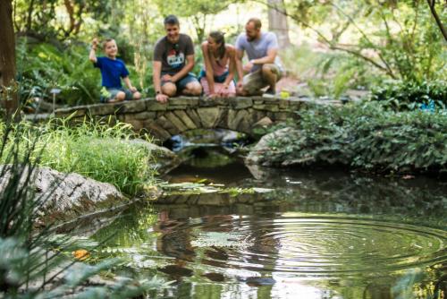 Lewis Ginter Botanical Garden Pond Family