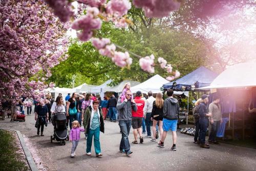 Exhibitors lined up at Rochester Lilac Festival