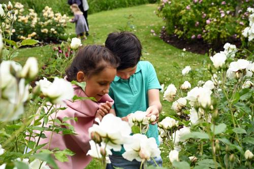 Two children playing amongst spring blossoms at Charlecote Park