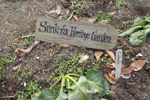 Sankofa Heritage Garden
