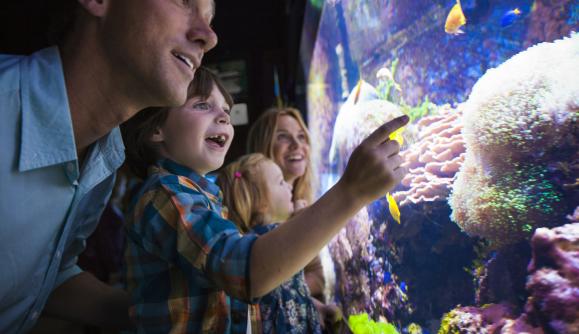 Aquarium of Niagara Family Aquarium of Niagara Family