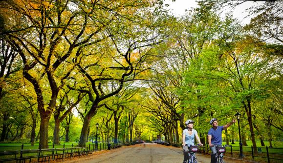 Bike riding in central park hotsell