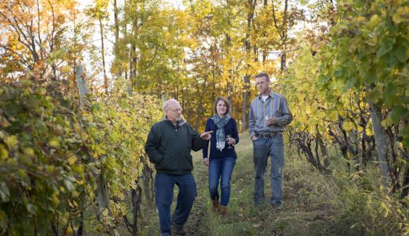 Keuka lake vineyard sales