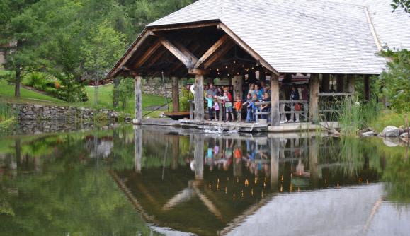 Time to feed the brookie and rainbow trout! Time to feed the brookie and rainbow trout!