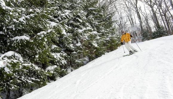 Holiday Valley Resort Holiday Valley Resort