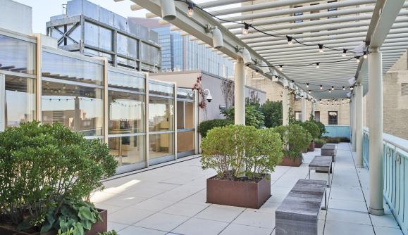 Fisher Rooftop, Zach Hyman Fisher Rooftop, Zach Hyman