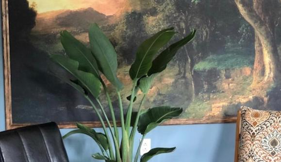 Reception Parlour Reception Parlour