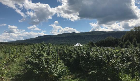 Indian Ladder Farms Indian Ladder Farms