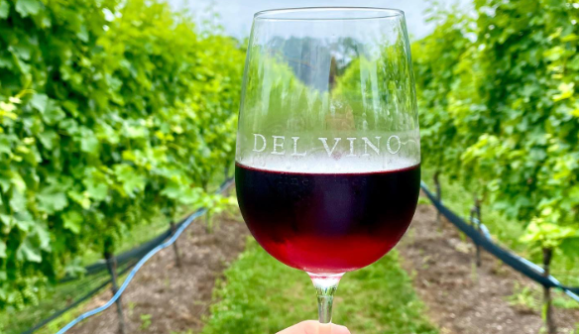 Del Vino Vineyards Northport NY 11768