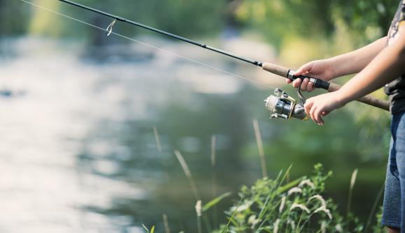 brand fishing pole bdo After your will rods run out, will you have the resolve to continue fishing  with single float? : r/blackdesertonline