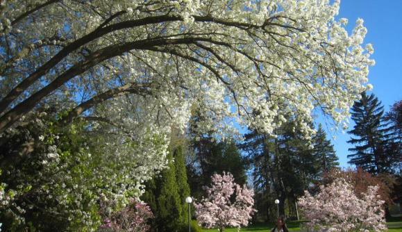 Garden on the grounds of Geneva On The Lake Garden on the grounds of Geneva On The Lake