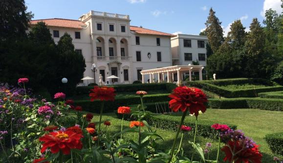 Closeup of flowers in a garden at Geneva on the Lake Closeup of flowers in a garden at Geneva on the Lake
