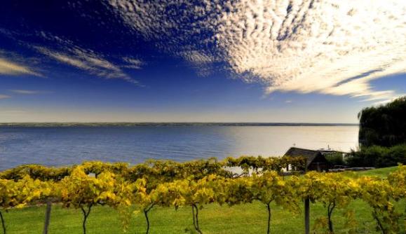 Cayuga_Lake_Wine_Trail_Lake_Shot Cayuga_Lake_Wine_Trail_Lake_Shot