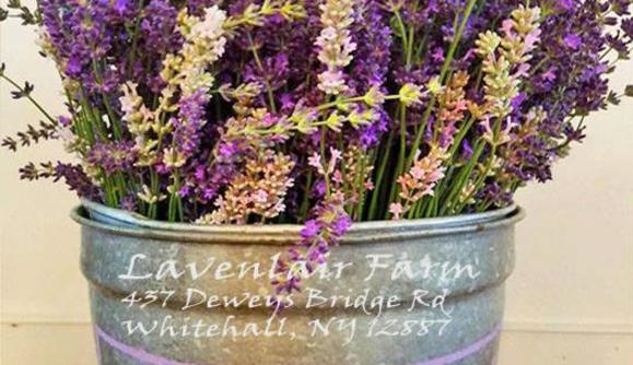 Lavender Essential Oil - Lavenlair Farm
