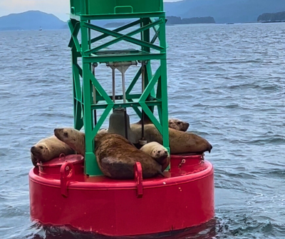 seal bouy