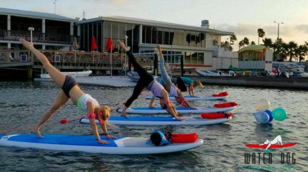 Water Dog Yoga.png