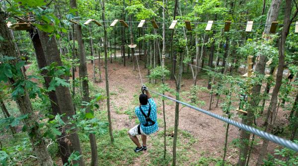 Man zip lining amongst the trees