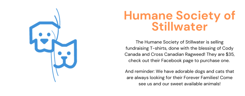 BFOK - Humane Society