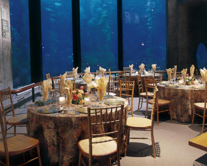 Group Event at the Monterey Bay Aquarium - set banquet tables in front of open sea exhibit.