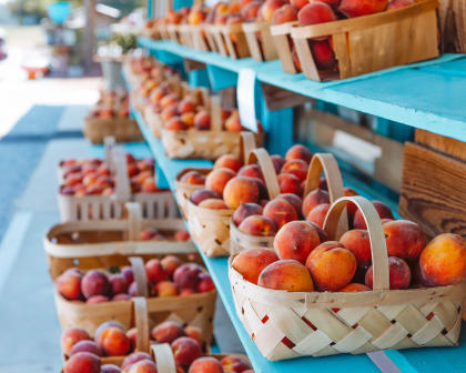 The Peach Tree Orchard