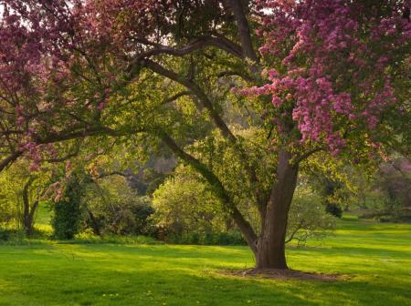 Horticulture-Park-Li