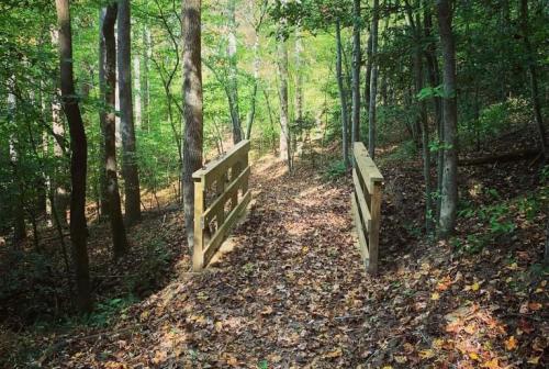 Mountain Creek Park Bridge