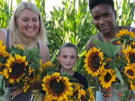 Pails of Sunflowers at Beasley's Orchard