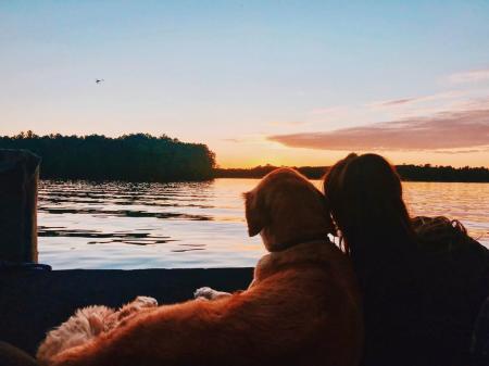 lake dog