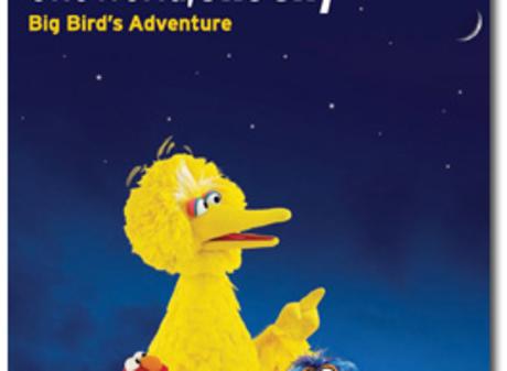 Big Bird's Adventure
