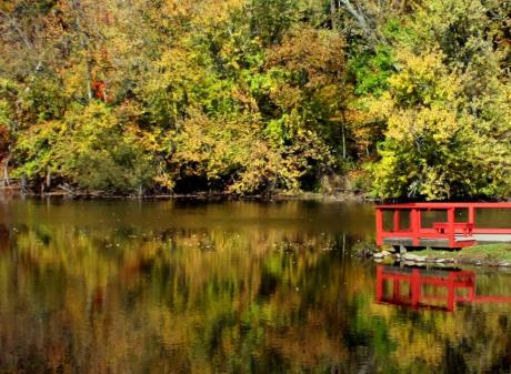 Grand Ledge Fall