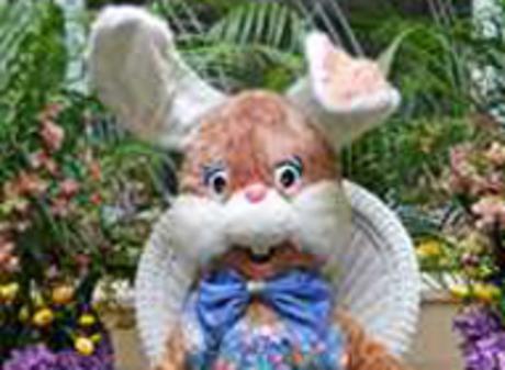 Easter Bunny Meridian Mall